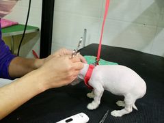 -酷狗靓猫宠物·洗护·美容·寄养(航北路店)