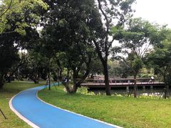 -四海公园(南山区)