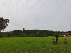 -宜兴龙背山森林公园