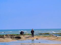 -巧克力渔家.小船海鲜胶东菜(万平口店)