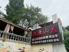 -桃源山庄·水蜜桃采摘·柴火鸡·烧烤团建(龙泉山店)
