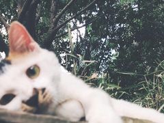 -苏州河梦清园环保主题公园