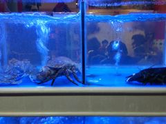 -小龍鳳·港式海鲜打边炉(沙湖路店)
