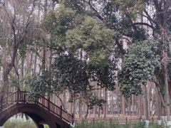 -乌镇东栅景区