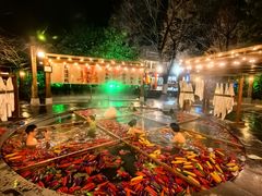 -天目湖御水温泉·度假酒店