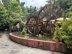 -品德宏·孔雀宴的发源地(金塔园店)