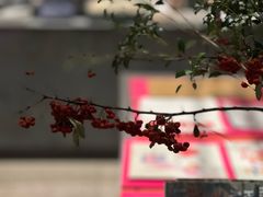 -茑屋书店(天目里店)