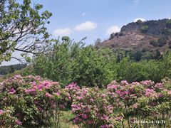 -名花谷生态庄园