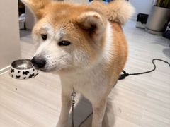 -YCHL Studios健身工作室(市二宫店)