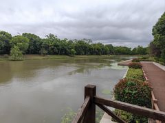 -上海海湾国家森林公园