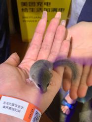-奇幻萌宠部落(映月湖环宇城店)