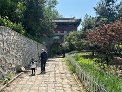 -云岗森林公园