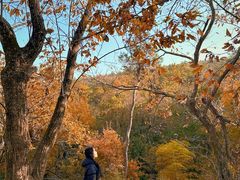-虞山风景区