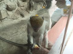 -新疆天山野生动物园