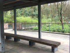 -西湖风景区-江洋畈生态公园