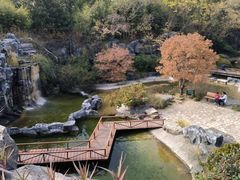 -上海吴淞炮台湾国家湿地公园