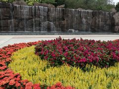 -神光山国家森林公园