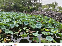 -无锡蠡湖国家湿地公园-蠡园