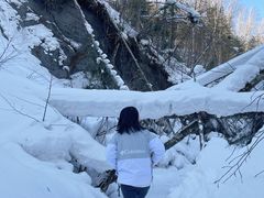 -峡谷浮石林景区