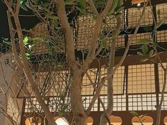 -桂满陇·海市蜃楼·黑金(国金店)