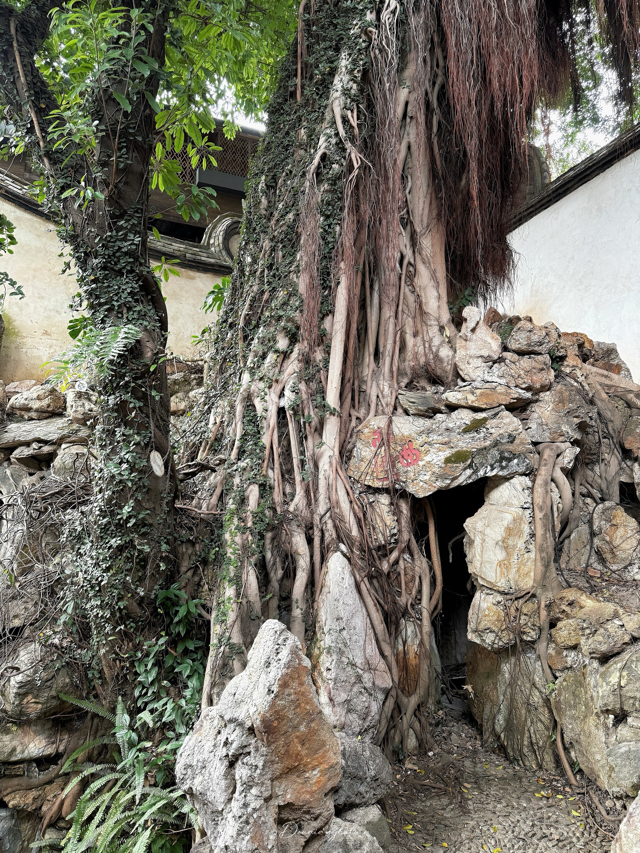 朱紫坊内的中式园林