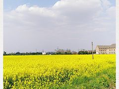 -中国天府农业博览园