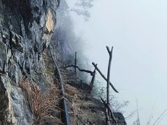 -武陵山森林公园