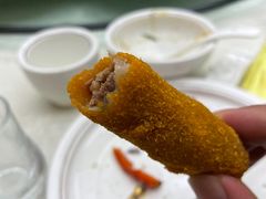 -丁老爷子苏香圆