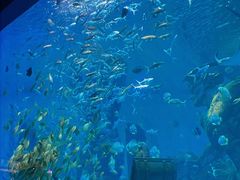-波塞冬旅游度假区
