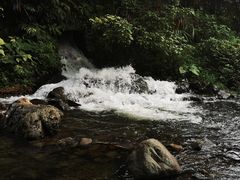 -广州市石门国家森林公园
