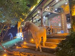 -巴倒烫陆派火锅山庄(南山总店)