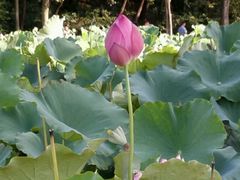 -韶山毛泽东同志故居