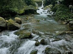 -青城山