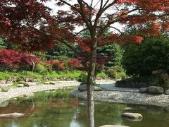 android_upload_pic-花溪公园