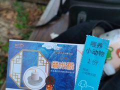 -前小桔亲子创意农场·草莓采摘·露营烧烤