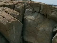 -放鸡岛生态旅游国际度假区