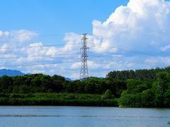 -翠湖国家城市湿地公园