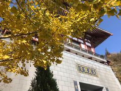 -随州碧桂园凤悦凤凰酒店
