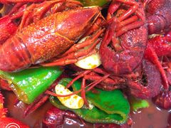 -香满锅老北京羊蝎子火锅·家常菜(新街口店)