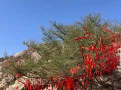 -泰山风景名胜区