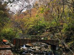 -青峰峡国家森林公园