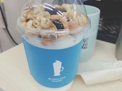 -Blueglass酸奶(财富购物中心店)