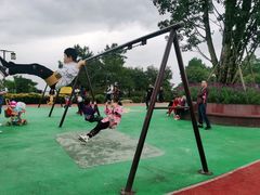 -铁山坪森林公园