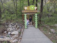 -大岭沟猕猴桃谷风景区