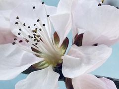 -后海公园