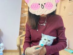 -猫咪派对(江南西店)