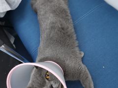 -太原东方动物医院(小店分院)