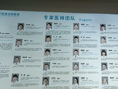 -北京观赏动物医院·24小时大型综合·猫专科·异宠专科