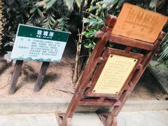 -龙达温泉生态城