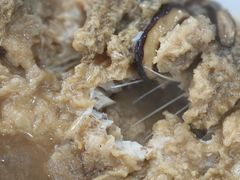 -邢家锅贴老店·非遗·开封菜(金明广场店)